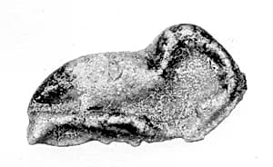 Ibis Amulet by Unknown Artist