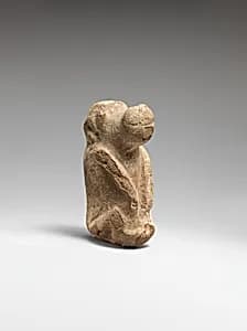 Juvenile Baboon by Unknown Artist
