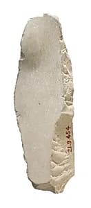 Knee fragment by Unknown Artist