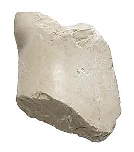Knee fragment, probably male by Unknown Artist