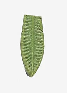 Leaf Pendant by Unknown Artist