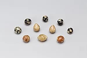 Marble by Unknown Artist
