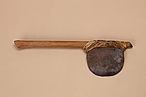Model ax by Unknown Artist