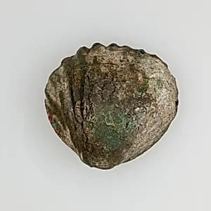 Model shell by Unknown Artist