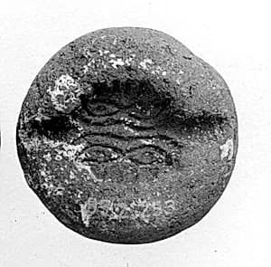 Mold by Unknown Artist