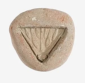 Mold: Lotus Terminal by Unknown Artist