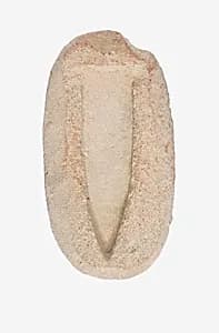 Mold of a Lily petal by Unknown Artist