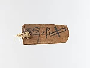 Mummy label by Unknown Artist