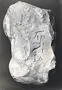 Name Stone of Senenmut by Unknown Artist