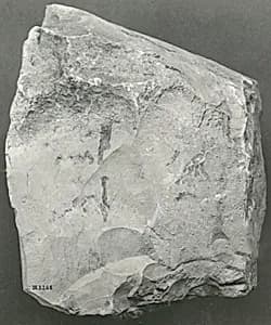 Name Stone of Senenmut by Unknown Artist
