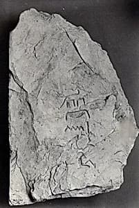 Name Stone of Senenmut by Unknown Artist