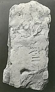 Name Stone of Senenmut by Unknown Artist