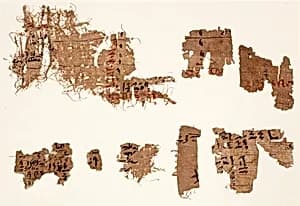 Nine fragments of hieratic text by Unknown Artist