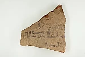 Ostracon by Unknown Artist