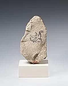 Ostracon by Unknown Artist