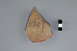 Ostracon by Unknown Artist