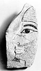 Ostracon by Unknown Artist