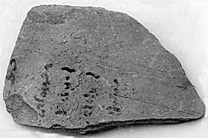Ostracon by Unknown Artist