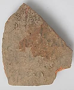 Ostracon by Unknown Artist