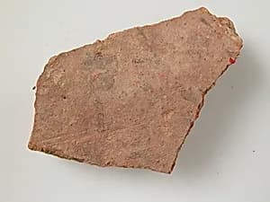 Ostracon by Unknown Artist