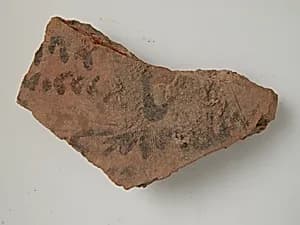 Ostracon by Unknown Artist