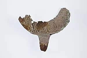 Part of a shallow strainer by Unknown Artist