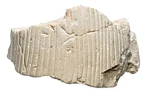 Part of a tripartite wig. by Unknown Artist
