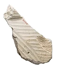 Pleated garment, relief (?) by Unknown Artist