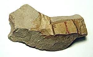 Raised relief fragment by Unknown Artist
