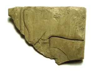 Raised relief fragment by Unknown Artist