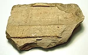 Raised relief fragment by Unknown Artist