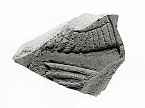 Raised relief fragment by Unknown Artist