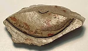 Raised relief fragment by Unknown Artist