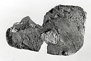 Raised relief fragment by Unknown Artist