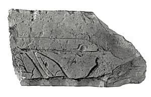 Raised relief fragment by Unknown Artist