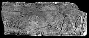 Raised relief fragment by Unknown Artist