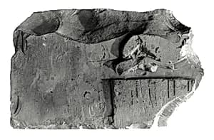Raised relief fragment by Unknown Artist