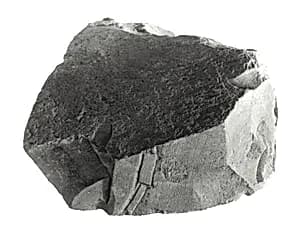 Raised relief fragment by Unknown Artist