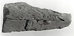 Raised relief fragment by Unknown Artist