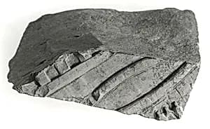 Raised relief fragment by Unknown Artist