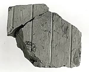 Raised relief fragment by Unknown Artist