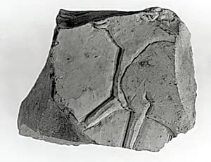Raised relief fragment by Unknown Artist