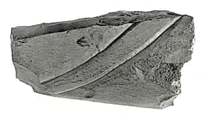 Raised relief fragment by Unknown Artist