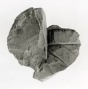 Raised relief fragment by Unknown Artist