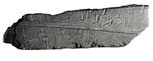 Raised relief fragment by Unknown Artist