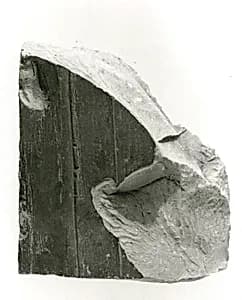 Raised relief fragment by Unknown Artist