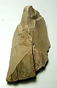 Raised relief fragment by Unknown Artist