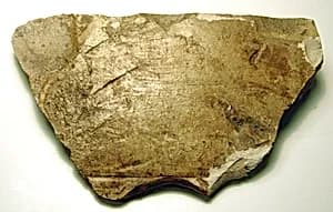 Raised relief fragment by Unknown Artist