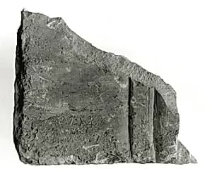 Raised relief fragment by Unknown Artist