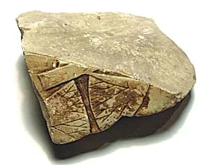 Raised relief fragment by Unknown Artist